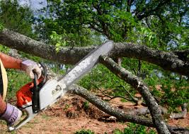  Eastland, TX Tree Services Pros